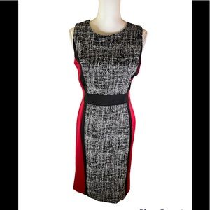 Enfocus Studio Sleeveless Dress